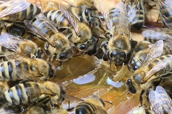 431365300_271066612603536_1988464716854817040_n