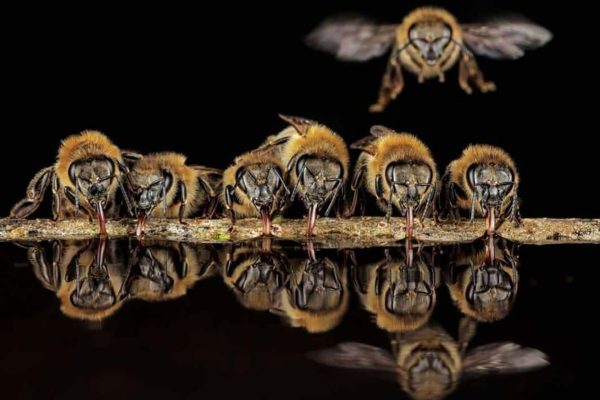 431447612_422941876943939_1567512974105317012_n