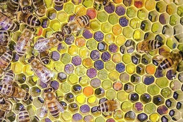 Ban111111111111111111